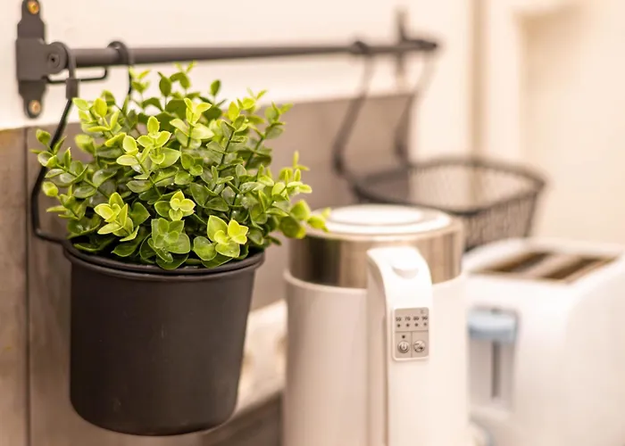 Historical Building Brody بودابست