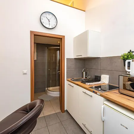 Apartament Historical Building Brody *